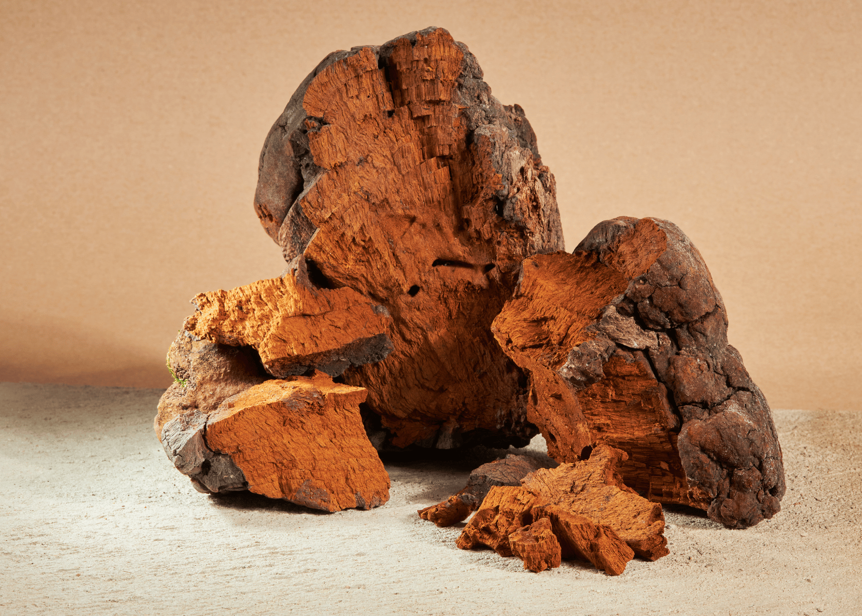 What Are Black Diamond Mushroom Chocolates