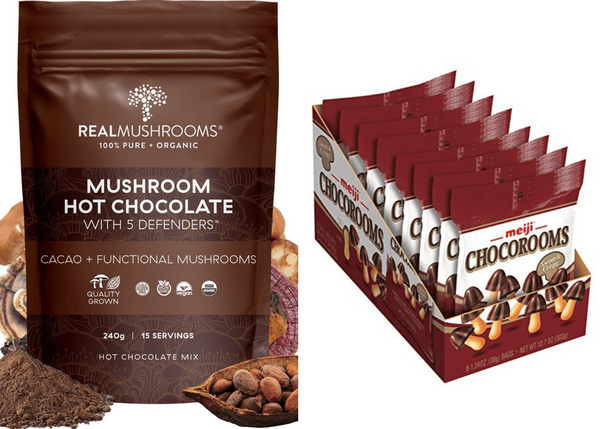 Experience a New Level of the Best Mushroom Chocolate Delight